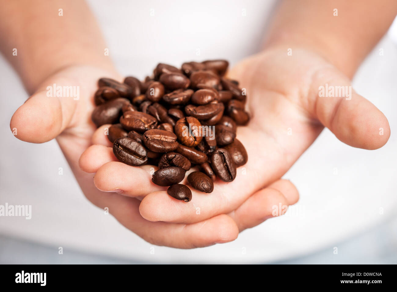 Coffee beans in children`s hands Stock Photo